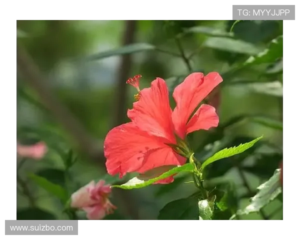 与赵敏的对话:探索她的攀岩旅程与人生哲学 与赵敏的对话:探索她的攀岩旅程与人生哲学
