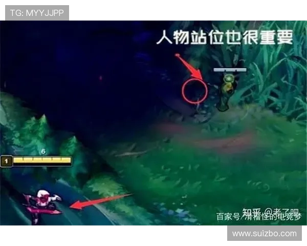 IG战队中路突破体系解析与战术运用探讨