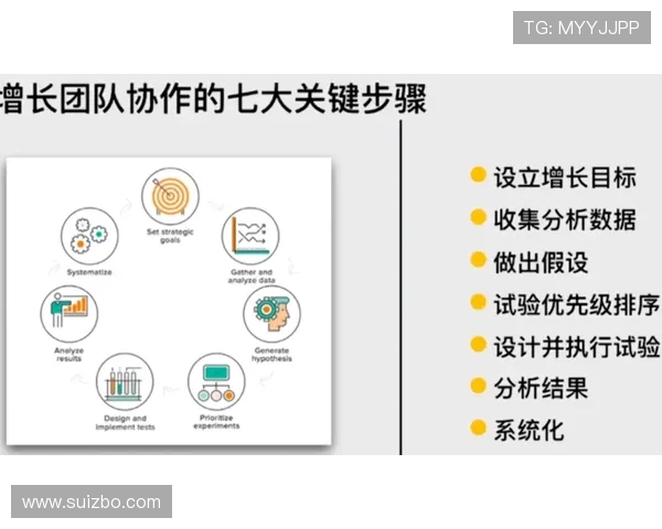 TES团队协作表现的数据分析与优化建议探讨