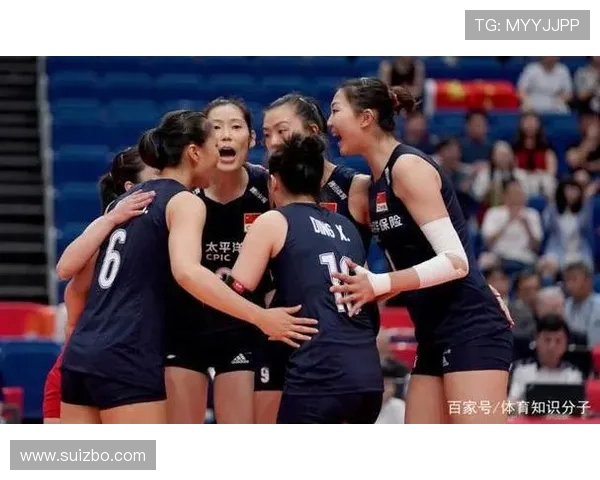 上海排球队反击战术解析与实战应用探讨