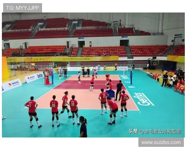 南京排球队战术实力强劲荣登全国排球战术排行榜第六名