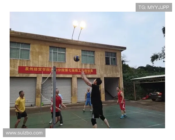 杭州排球队逆袭之路大师赛特别报道展现团队精神与拼搏历程