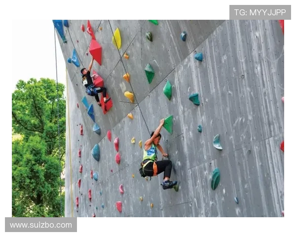 杭州攀岩队耐力训练的探索与实践分享