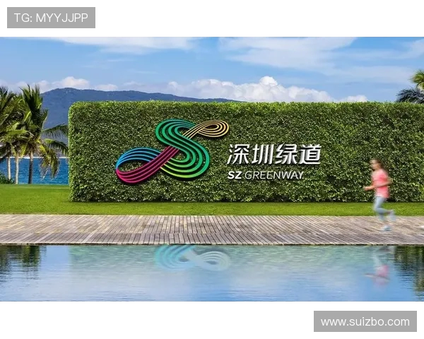 武汉滑板队逆袭之路:探索创新与团队精神的完美结合 武汉滑板队逆袭之路:探索创新与团队精神的完美结合