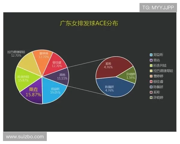 南京排球队技术对比深度解析与发展趋势探讨