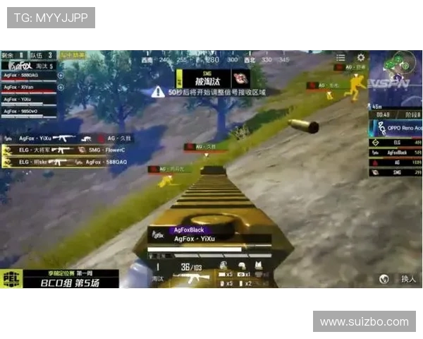 和平精英评论：RNG在比赛中的整体表现与战术压制分析