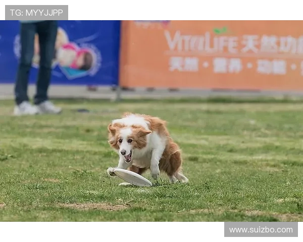 上海飞盘队勇闯极限运动世界杯的奋斗与荣耀之路 上海飞盘队勇闯极限运动世界杯的奋斗与荣耀之路